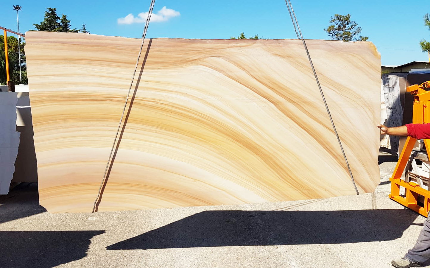 75567392_2523292514436116_3846277590209789952_n